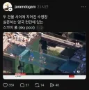 흔한 고층빌딩의 수영장