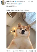 SNS보다 빨간약 먹음