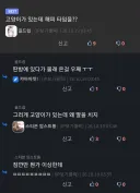 딸치다 고양이에게 긁혔다는 글에 달린 댓글
