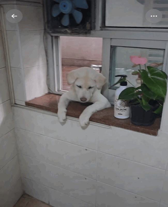 요즘 핫하다는 화장실 매니저.gif