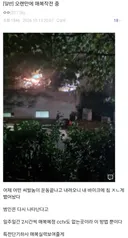 뼛속까지 국군인 새끼들..