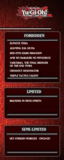 유희왕) TCG 금제 마지막