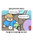 부캉이 보러갔다가 부산 택시 경험한 만화.jpg