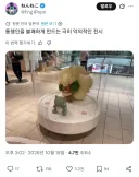 포켓몬 트레이너들은 이런걸 좋아한다지?