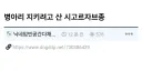병아리 경호용으로 산 강아지.mp4