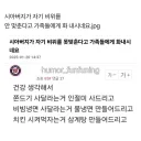 시아버지가 비위 안 맞춘다고 화냄