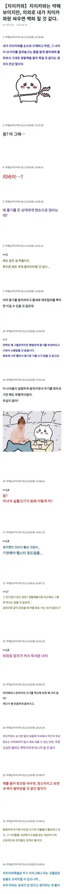 치이카와) 다들 잘못 생각하고 있다는 먼작귀 족의 전투력.5ch