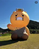 전남 화순 고인돌 가을꽃축제 춘식이 마을