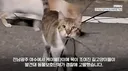 연쇄 살인마 전조 현상.jpg