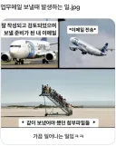 아 마운자로 에페 비교글 쓰다가 초안 단계에서 올렸네