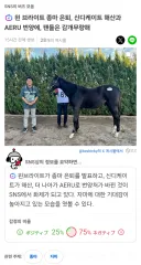 말딸,경마)윈 브라이트 종마 은퇴 후 AERU행 확정!