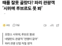 프랑스시위) 그나마 관광사업으로 먹고 사는건데...