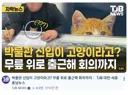 이야... 박물관 직원들 복지 미쳤네