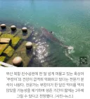 부캉이 2주 시한부라는 전문가news