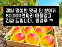 제일 몽총한 사람한테 돈 줌