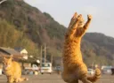 꾸준글)이 베스트 가기 쉽지 않은 이유