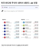 주식)미국 반도체 주식이 내려서 내린다. ok 인정