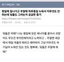 회사 다니면서 주말에 놀러 다니는 사람들