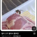 벌이 고기 썰어서 훔처감.jpg