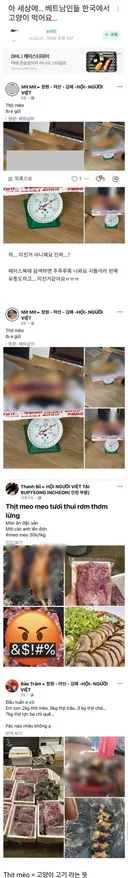 한국에서 고양이 고기 유통하는 베트남인들