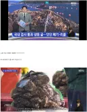 ㅈㄴ 심각하다는 굴 근황 ㅋㅋㅋㅋㅋㅋㅋ