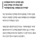 바퀴벌레 단백질 파우더