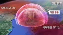 이 ㅈ밥새끼 어디갔냐?