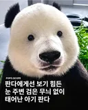 눈 주변에 검은 무늬 없이 태어난 아기판다