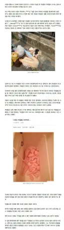 한번 사고 나면 뒷감당 안되는 물건