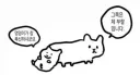 수컷 햄스터 키울때 놀란다는거