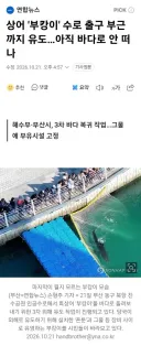 상어 '부캉이' 수로 출구 부근까지 유도…아직 바다로 안 떠나