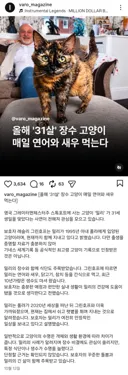 매일 해산물과 생수 먹은 31살 장수 고양이