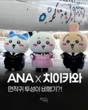 먼작귀)치이카와 3인방 근황.jpg