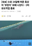 [속보] 수로 34일째 머문 흑상어 ‘부캉이’ 외해 나갔다…3차 유도작업 종료