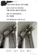 고양이 없어진 줄 알고 오열한 집사