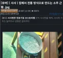 약혐)유게원본인 전통주 대참사글의 뒷이야기