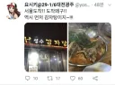 한국에 관광온 일본인 트윗 레전드
