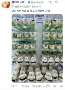 치이카와) 개성 강한 대만 치이카와샵 재고