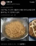 매번 야키소바랑 전투 들어가는 사람.jpg