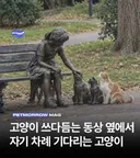 고양이 쓰다듬는 동상 옆에서 자기 차례 기다리는 고양이