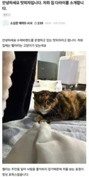 못생긴 반려동물 대회 참가했던 나폴리 맛피아.jpg