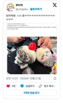 와 어떡해 소리가 절로 나오는 치이카와 랏코 인형....