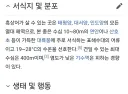 흑상어 잠수 한계 깊이