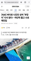부캉이 다시 돌아옴.