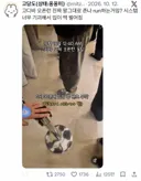 💥이젠 기묘한 수준이라는 고디바 모찌 웨이팅..JPG