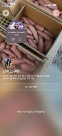 신기한 교수님