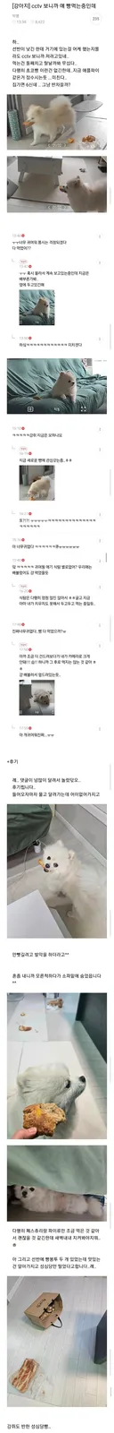주인 몰래 빵 훔쳐먹는 댕댕이.jpg