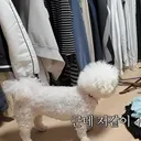윤보미 유튜브 주인장 바뀜?