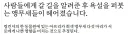 욕하던 앵무새들을 격리조치한 동물원.jpg