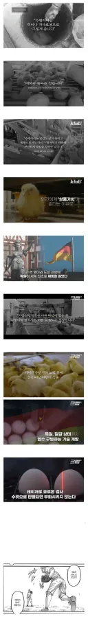 태어나자마자 죽는 생명체